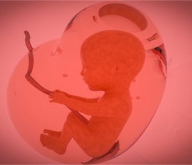 给婴幼儿乌鲁木齐捐卵宝宝添加辅食应避免“四大罪过”